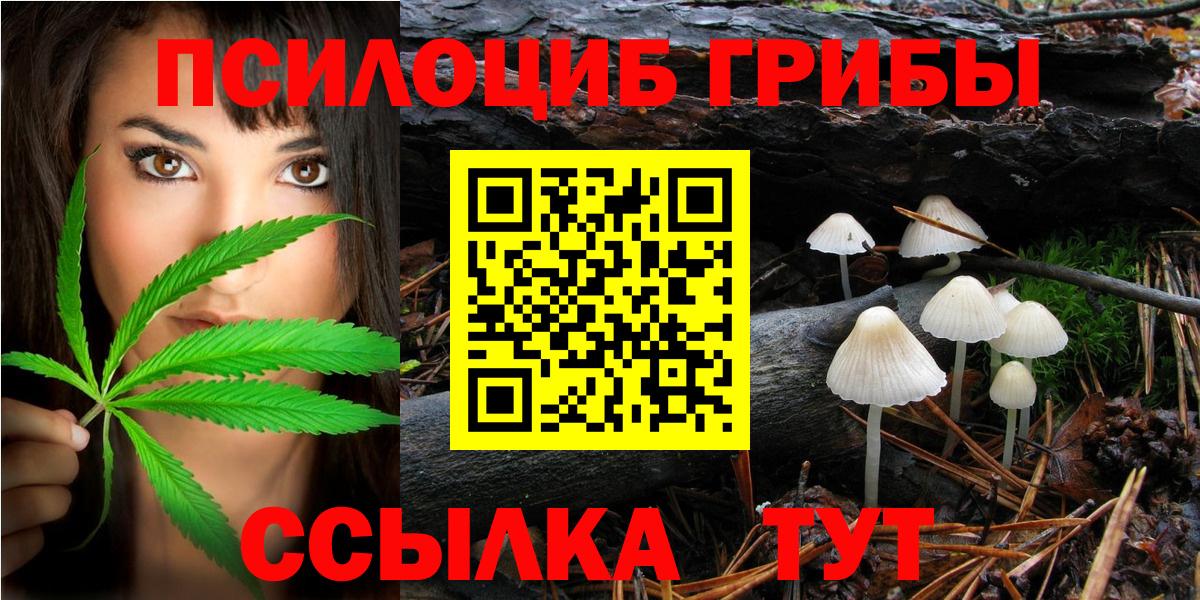 Истра  Псилоцибиновые грибы мицелий  Вход с VPN 